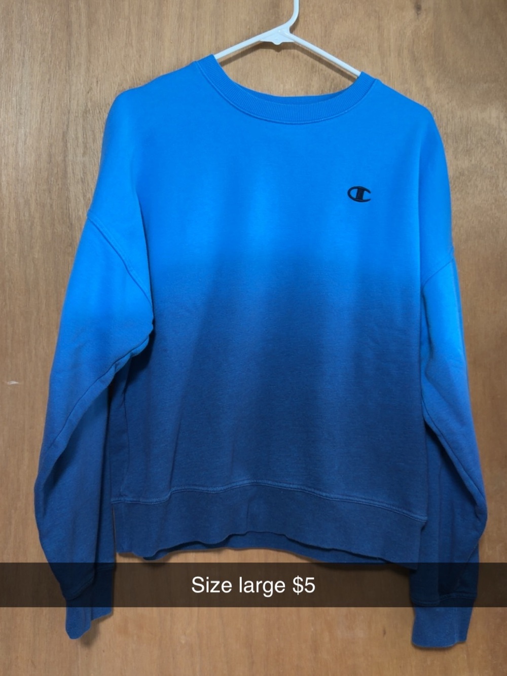 Champion Gradient Blue Pullover Sweatshirt